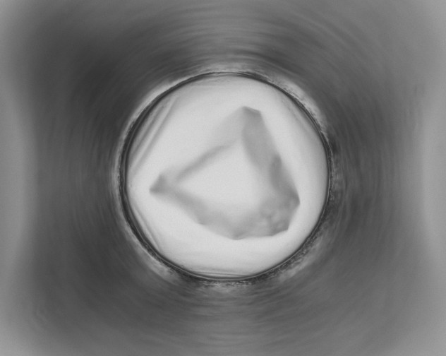 X0000110870803200907091359