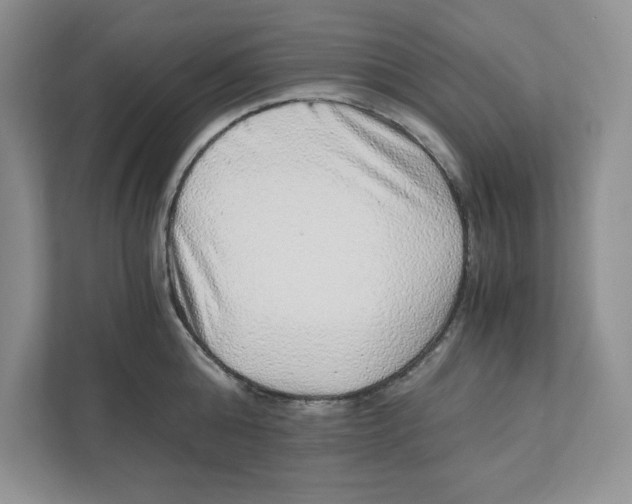 X0000110870808200907091359