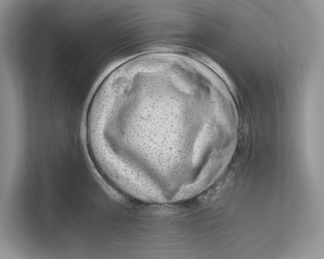 X0000110870811200907091359