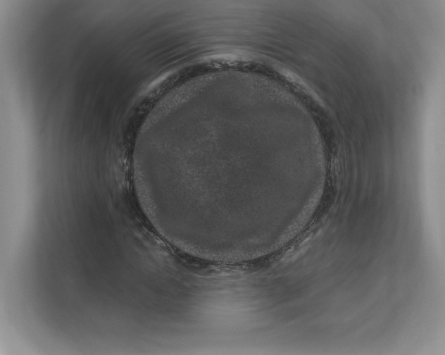 X0000110870822200907091359