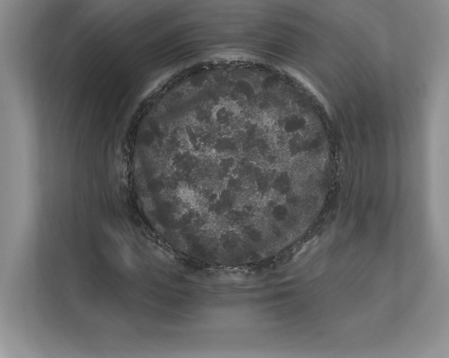 X0000110870823200907091359