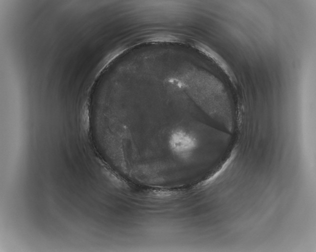 X0000110870829200907091359