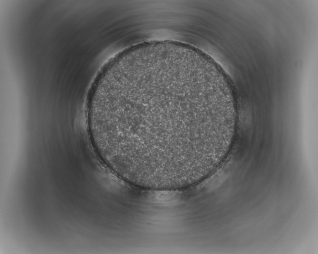 X0000110870832200907091359