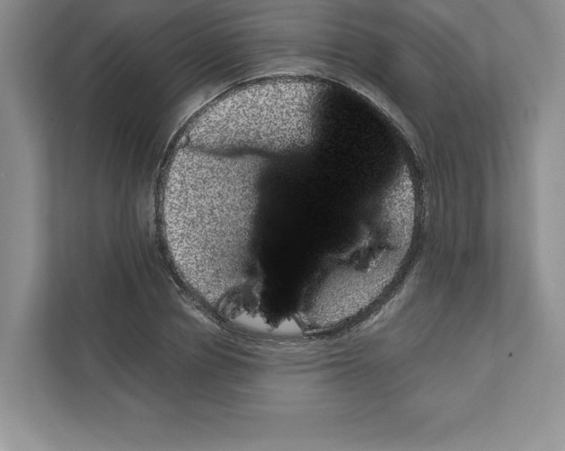 X0000110870834200907091359