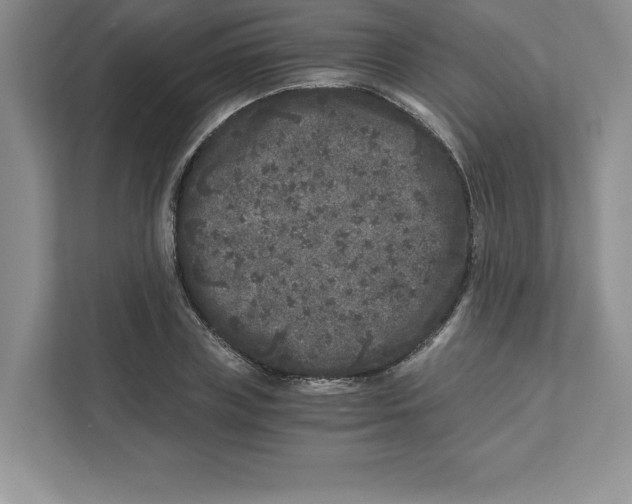 X0000110870835200907091359