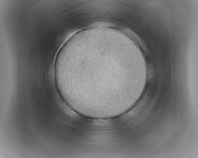 X0000110870836200907091359