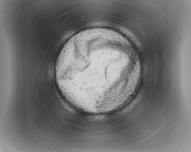 X0000110870841200907091359