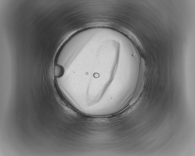 X0000110870844200907091359