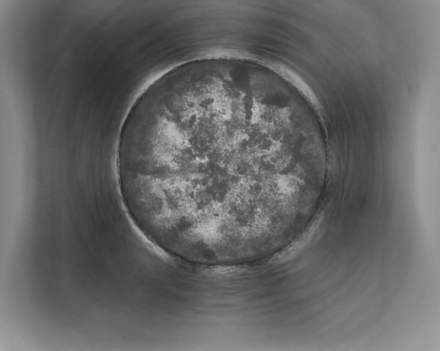 X0000110870847200907091359