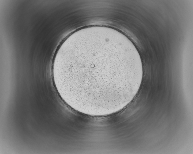 X0000110870848200907091359