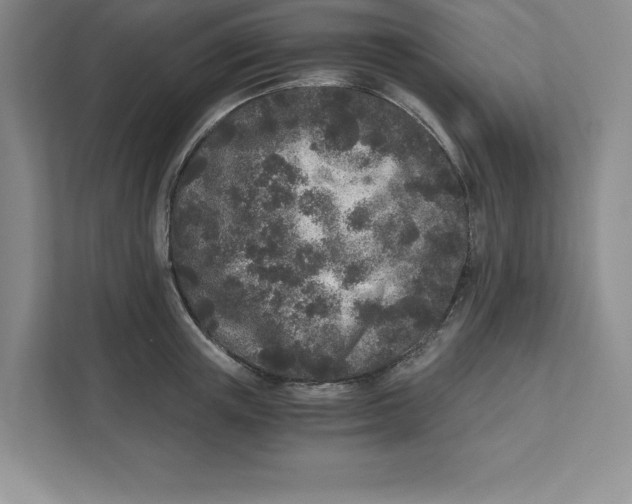 X0000110870851200907091359