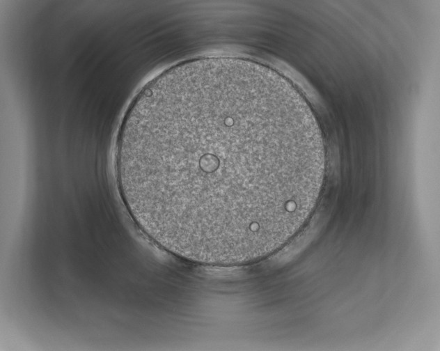 X0000110870856200907091359