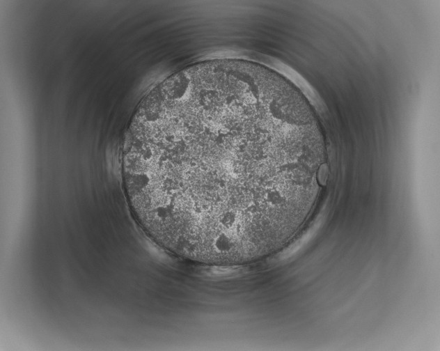 X0000110870857200907091359