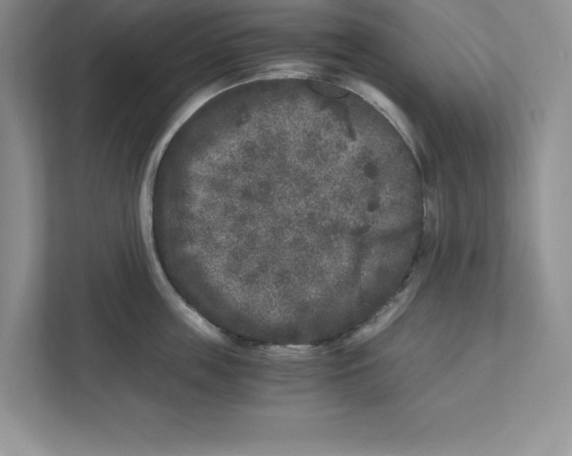 X0000110870859200907091359