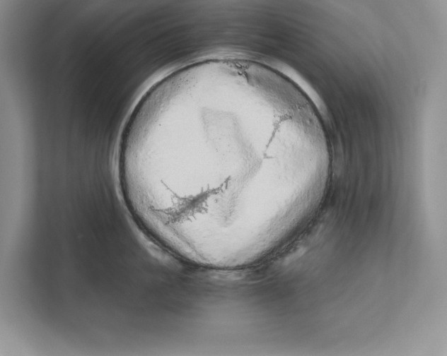 X0000110870861200907091359