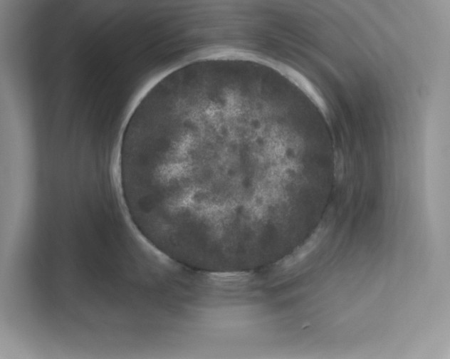 X0000110870863200907091359