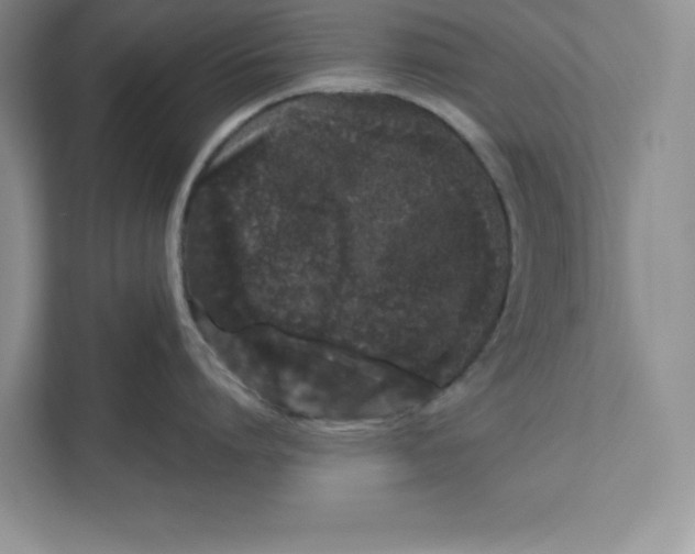 X0000110870864200907091359