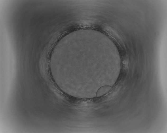 X0000110870865200907091358