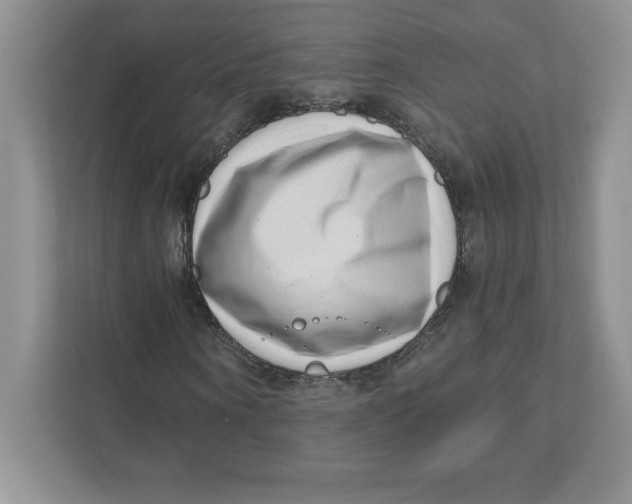 X0000110870866200907091358