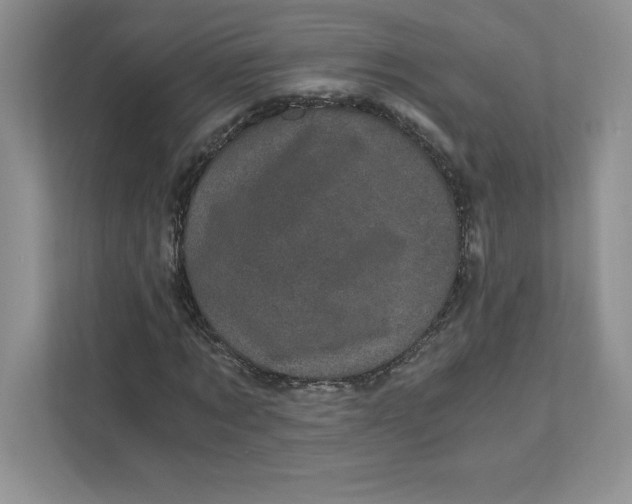 X0000110870869200907091358