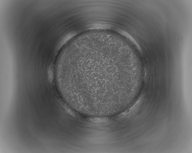 X0000110870874200907091358