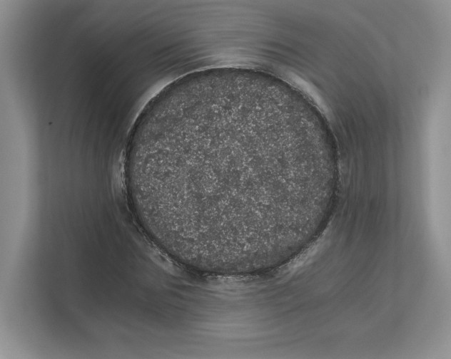 X0000110870875200907091358