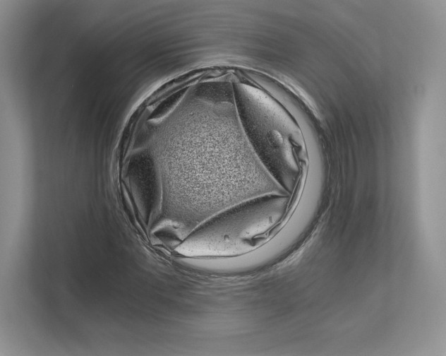 X0000110870877200907091358