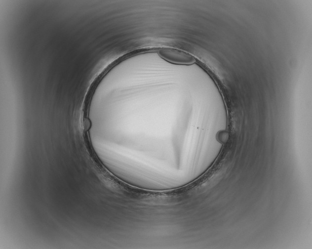 X0000110870885200907091358