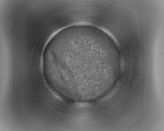 X0000110870886200907091358