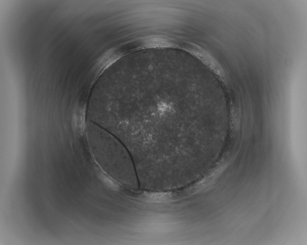 X0000110870889200907091358