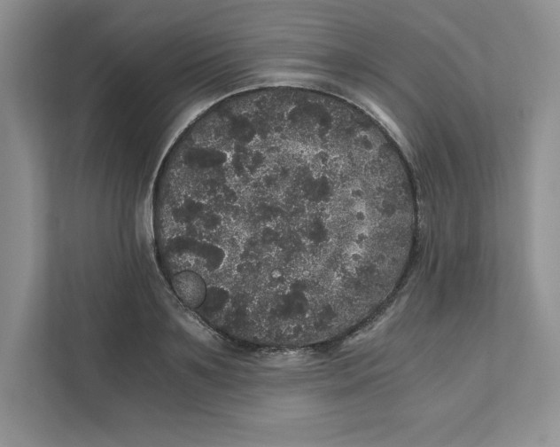 X0000110870891200907091358