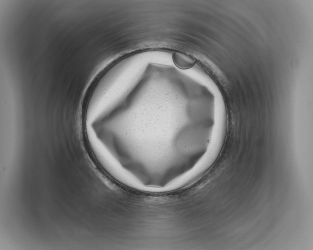 X0000110870894200907091358