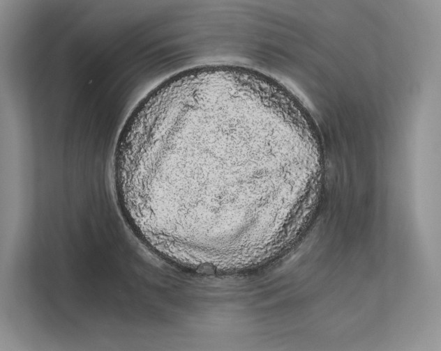 X0000110870895200907091358