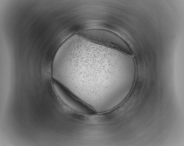 X0000110870897200907091358