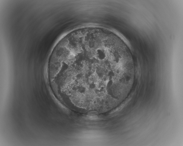 X0000110870911200907091358