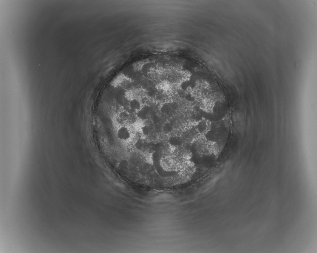 X0000110870913200907091357