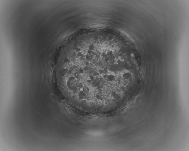 X0000110870917200907091357