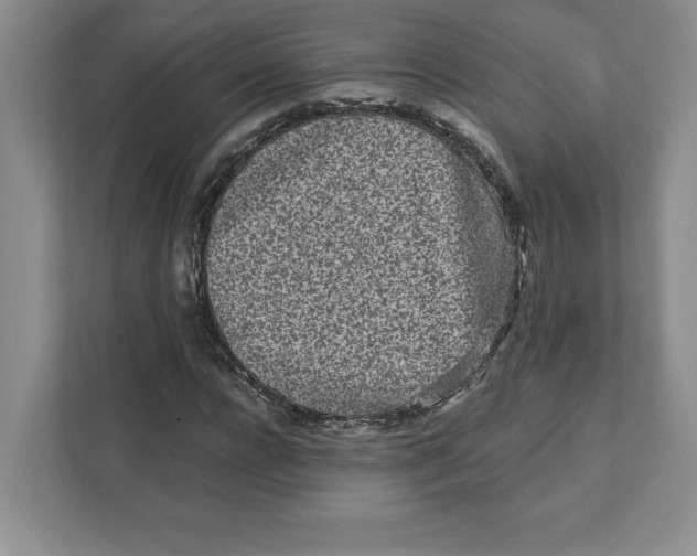 X0000110870920200907091357