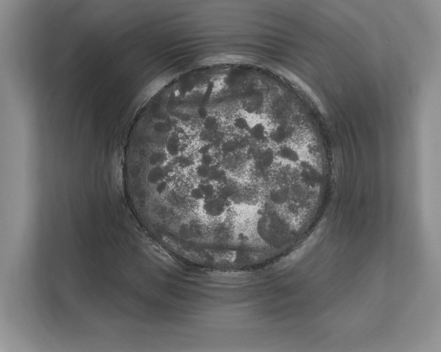 X0000110870921200907091357