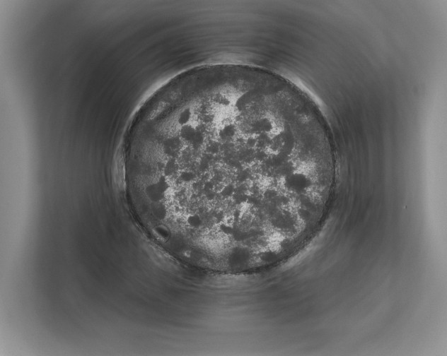 X0000110870925200907091357