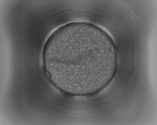 X0000110870927200907091357