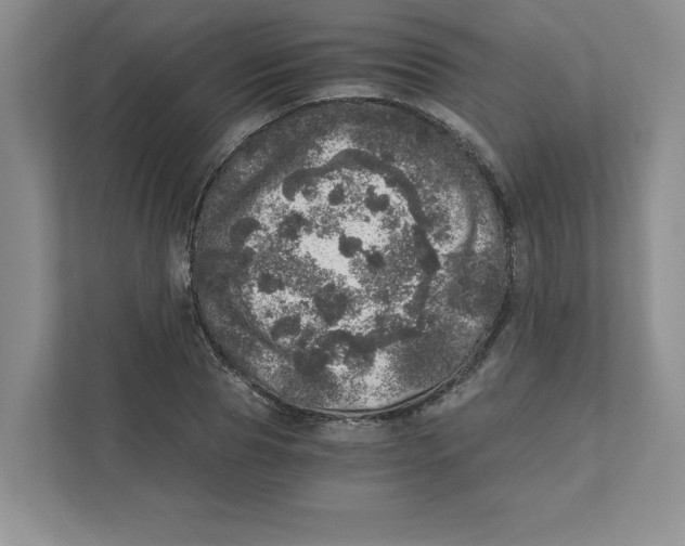 X0000110870929200907091357