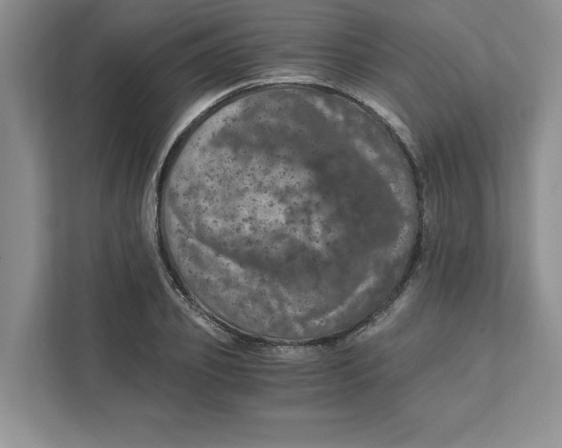 X0000110870933200907091357