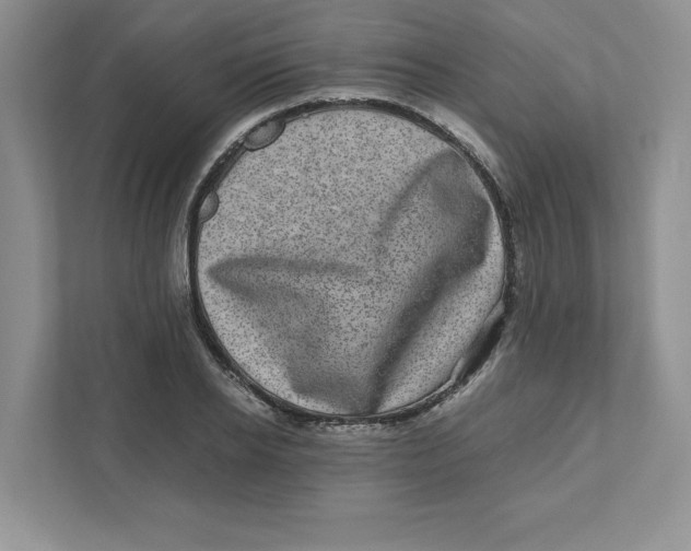 X0000110870934200907091357