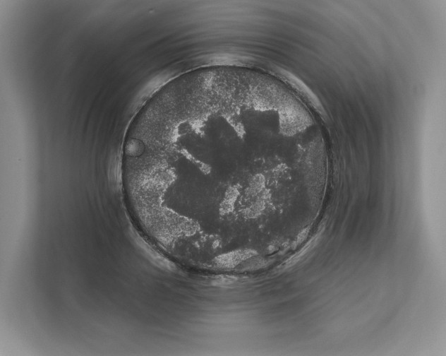 X0000110870938200907091358