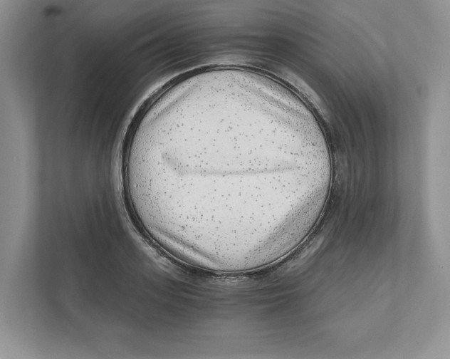 X0000110870939200907091358