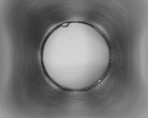 X0000110870942200907091358