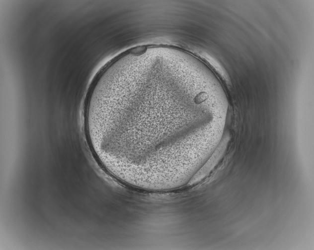 X0000110870944200907091358