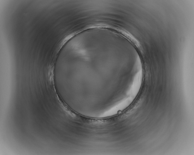 X0000110870945200907091358