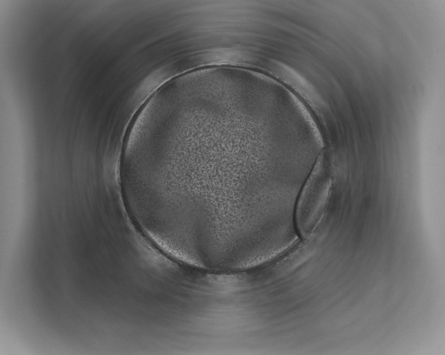 X0000110870946200907091358